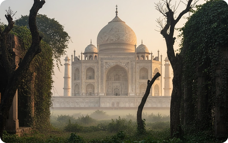 Taj Mahal framed by trees at sunrise.